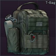 Transformer Bag