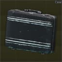Carbon case
