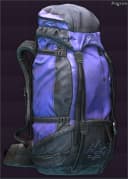 Pilgrim tourist backpack