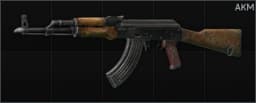 Kalashnikov AKM 7.62x39 assault rifle Default