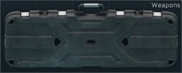 Weapon case