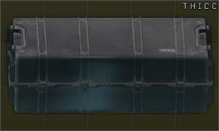 T H I C C item case