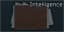 Intelligence folder