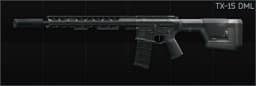 Lone Star TX-15 DML 5.56x45 carbine Default
