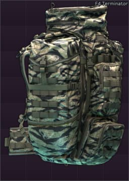 Eberlestock F4 Terminator load bearing backpack (Tiger Stripe)