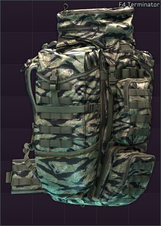 Eberlestock F4 Terminator load bearing backpack (Tiger Stripe)
