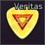 Veritas guitar pick