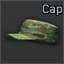 Army cap (Flora)