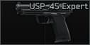 HK USP .45 ACP pistol Expert