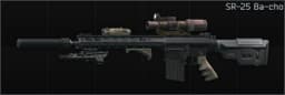 Knight's Armament Company SR-25 7.62x51 marksman rifle Ba-cho