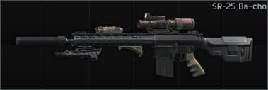 Knight's Armament Company SR-25 7.62x51 marksman rifle Ba-cho