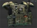 Crye Precision CPC plate carrier (Goons Edition)