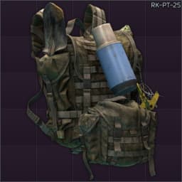 Tehinkom RK-PT-25 patrol backpack (EMR)