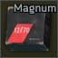 12/70 8.5mm Magnum buckshot ammo pack (25 pcs)