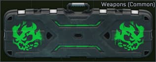Locked weapon crate (Common)