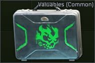 Locked valuables crate (Common)