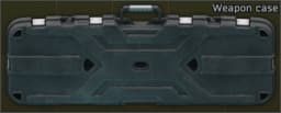 Stolen weapon case