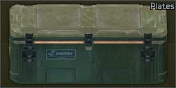Ballistic plate case