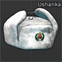 New Year ushanka hat