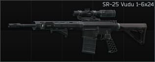 Knight's Armament Company SR-25 7.62x51 marksman rifle Vudu 1-6x24