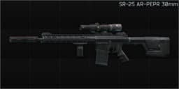 Knight's Armament Company SR-25 7.62x51 marksman rifle AR-PEPR 30mm