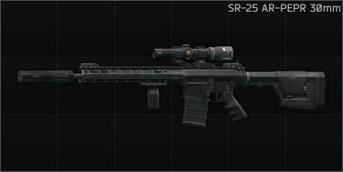 Knight's Armament Company SR-25 7.62x51 marksman rifle AR-PEPR 30mm