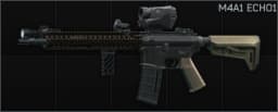 Colt M4A1 5.56x45 assault rifle ECHO1