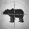 Bear target