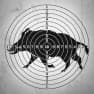 Hog target