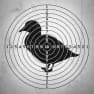 Duck target