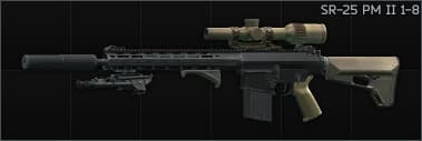 Knight's Armament Company SR-25 7.62x51 marksman rifle PM II 1-8