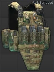 Crye Precision AVS plate carrier (MultiCam) Stripped